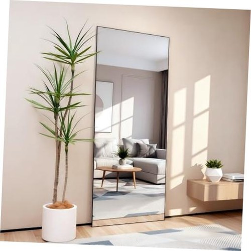 Full length mirror x21 - length, 56"x21"