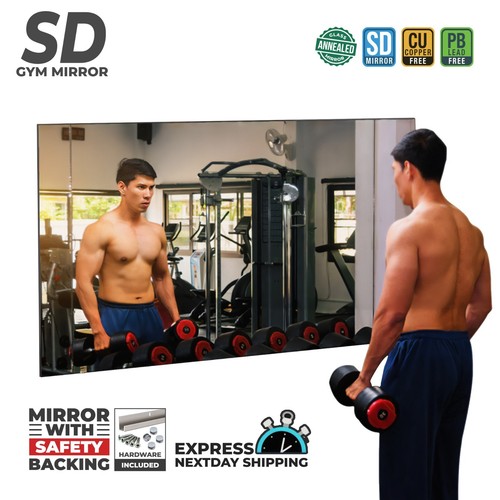 Full length home gym - home, mirror